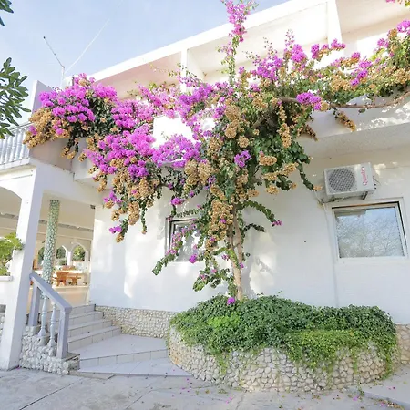 Petrus - Apartament